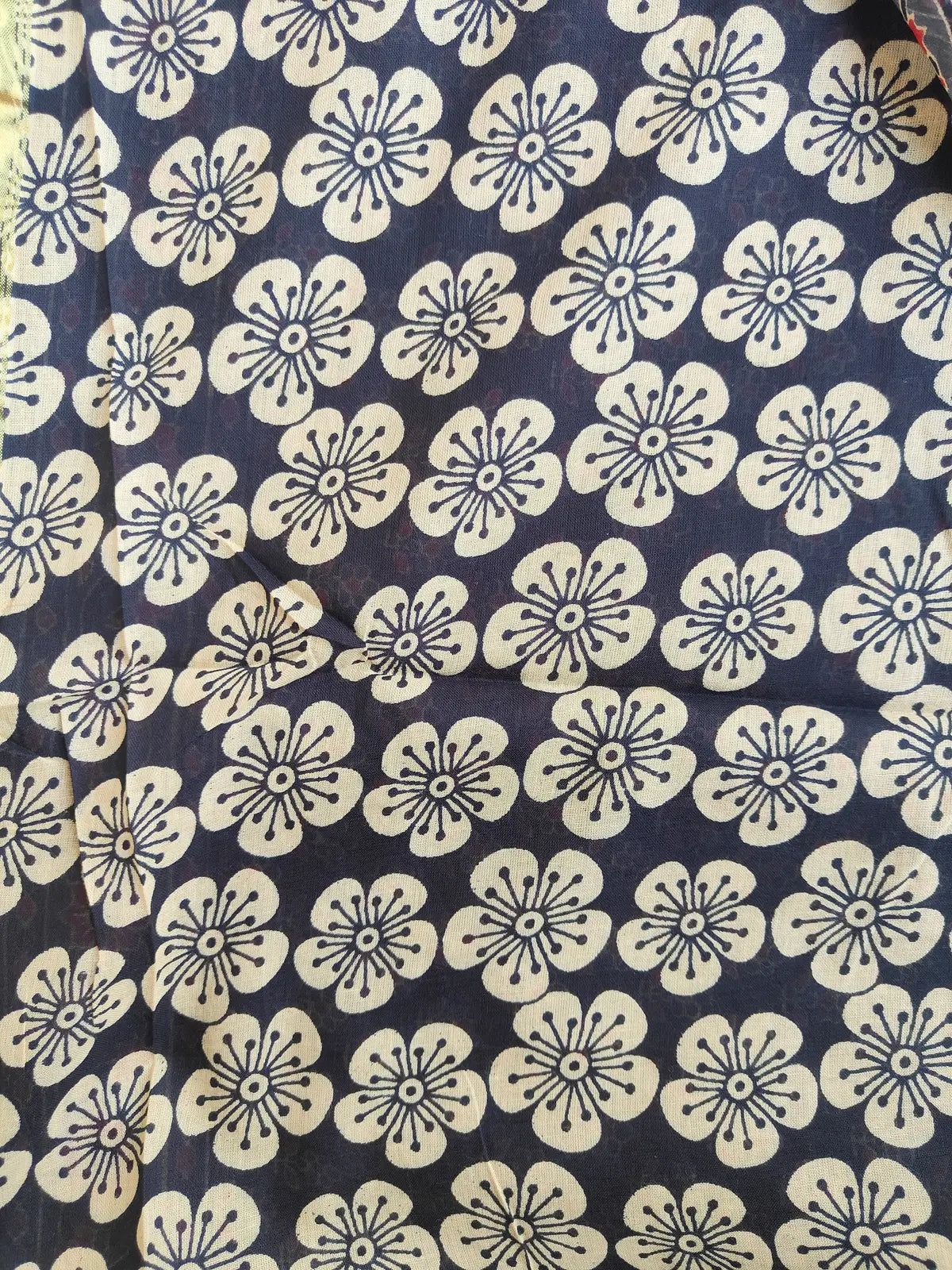 BLACK AND RED AJRAKH CHANDERI COTTON SAREE