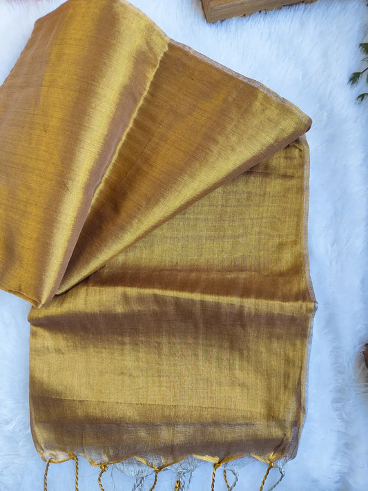 GOLD AND SILVER COTTON TISSUE SAREE