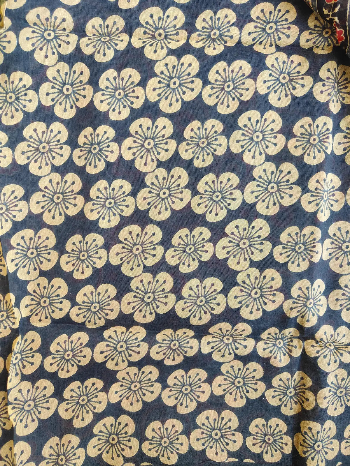 GREY AND RED AJRAKH CHANDERI COTTON SAREE